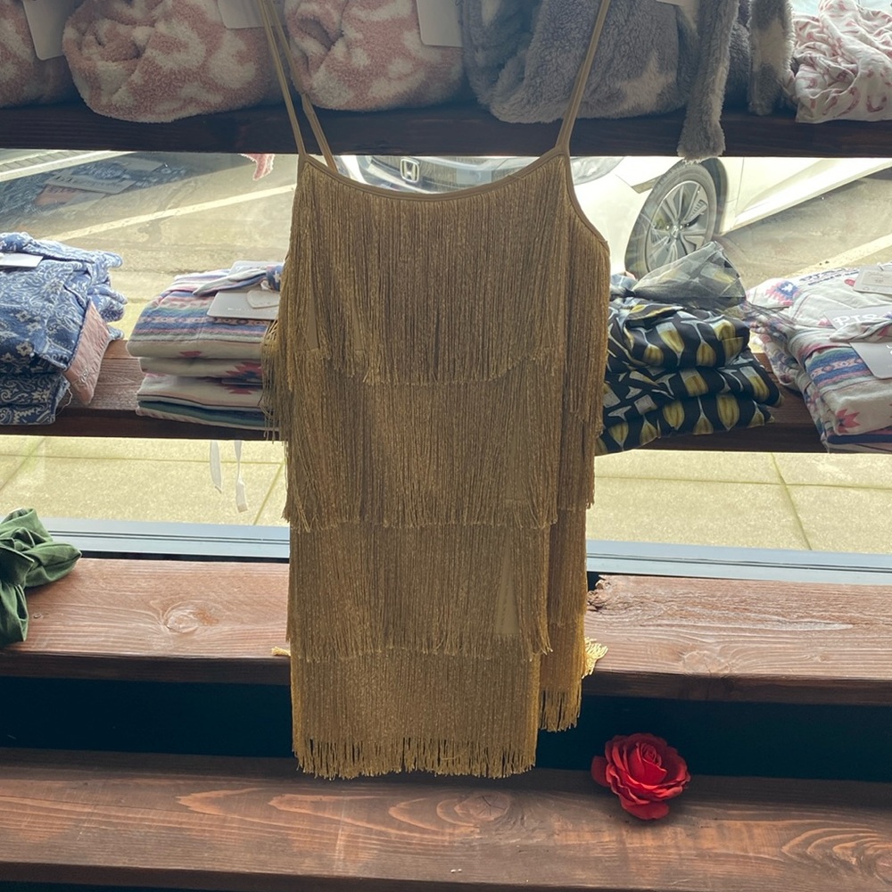 Show Me Your MuMu Gold Fringe Mini Dress